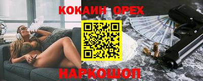гашик Гатчина