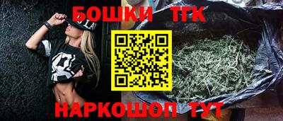 гашик Гатчина